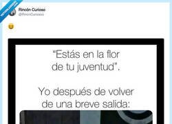 Enlace a “Estás en la flor de tu juventud” — sí, la flor de plástico del chino, por @RincnCuriosoo