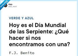 Enlace a Si es su día, mínimo decirle “felicidades” y seguir con tu vida, por @bjs_alejo2