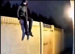 Enlace a El perro recordando quién manda en el barrio, por @TlatoaniAzteca