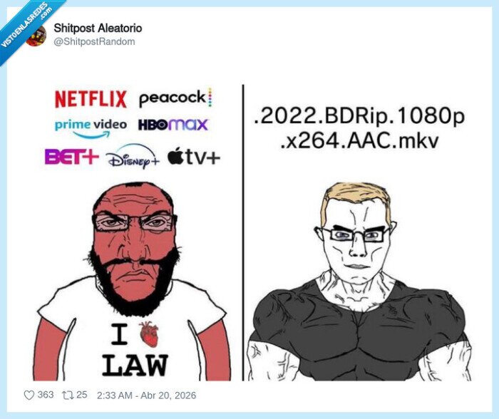 streaming,pirateria,suscripciones,descargas,mkv