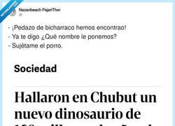 Enlace a Lo de poner nombres científicos se les fue de las manos y acabó en “sujétame el cubata”, por @