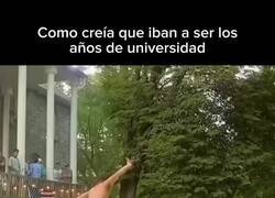 Enlace a Acabé sobreviviendo a base de apuntes y café, por @PropositoyVida