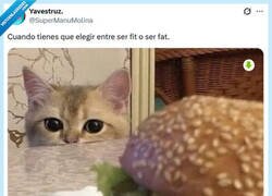 Enlace a Difícil decisión por @supermanumolina