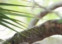 Enlace a Yo no estoy juzgando… solo estoy archivando pruebas, por @RincnCuriosoo