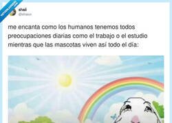 Enlace a Yo haciendo malabares con el curro y el alquiler y mi mascota: vibrando con que hoy también hay sol, por @shaiuv
