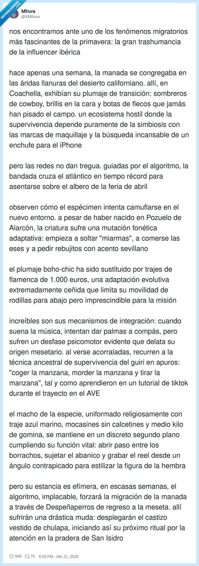 1725461 - De Coachella a la Feria, por @XMihura