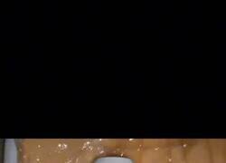 Enlace a Me hacen esta estafa a mí, y ardo, por @Venequisimo