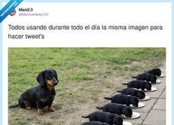 Enlace a Repetís el mismo chiste y encima os sale mejor, por @ManinaHarley137