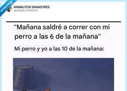 Enlace a El único cardio que hemos hecho es cambiar de postura en la cama, por @ANIMALITOSSANA