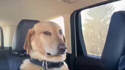 Enlace a ¿30 segundos? ¿tanto? Yo a los 10 ya caigo, por @anonimo_jones