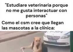 Enlace a Los dueños de perro son peor que los padres, por @MundoDeBigotes