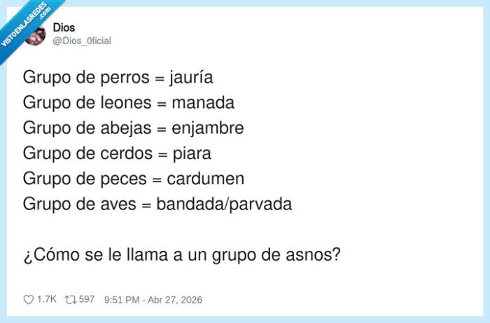 grupos_animales,lenguaje_espa&ntilde;ol,nomenclatura_zoologica,curiosidades,asnos