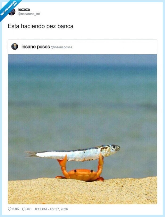 cangrejo,pescado,playa,posa