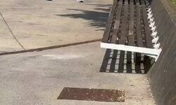 Enlace a El colega que no te deja andar tranquilo: o a su ritmo o al suelo, por @anonimo_jones