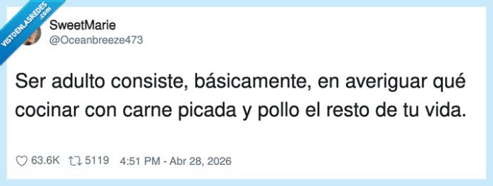 adultez,comida,carne,pollo,recetas