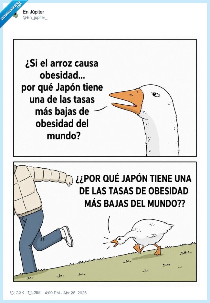 arroz,obesidad,Jap&oacute;n,cuesti&oacute;n,grulla