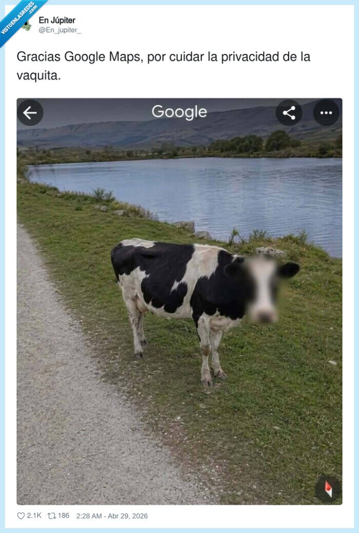 googlemaps,vaquita,privacidad,censura,campo