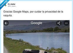 Enlace a Eso sí que es respeto vacuno, por @En_jupiter_