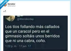 Enlace a Coherencia ante todo, por @Memakker