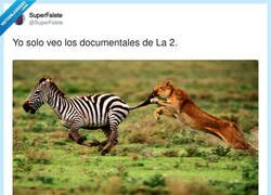 Enlace a Se han puesto interesantes, por @SuperFalete