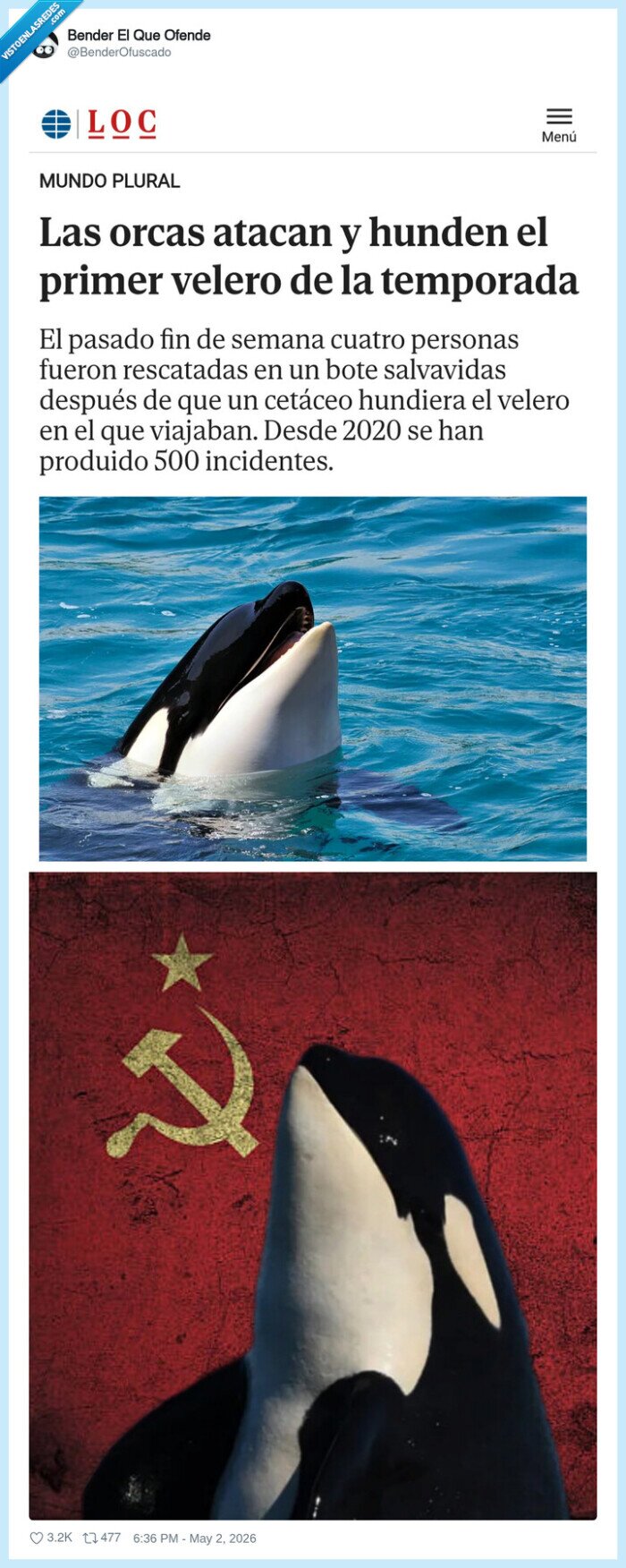 orcas,velero,ataque,mar,noticia