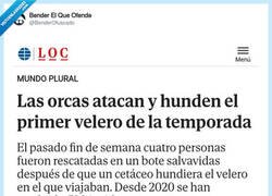 Enlace a Empieza la temporada de orcas asesinas anti-veleros, por @BenderOfuscado