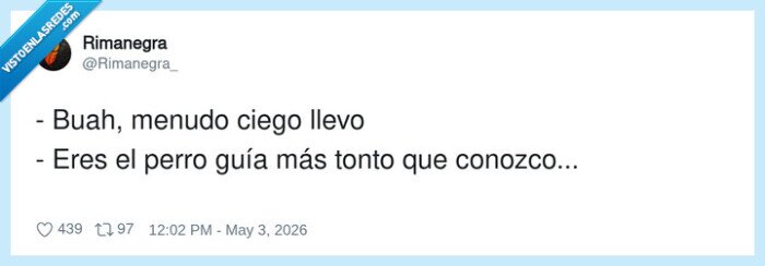 ceguera,perroguia,despiste,gps,troleo