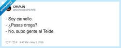 Enlace a Camello pero de los legales, por @NOROBESPIERRE