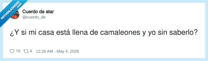 camaleones,casa,humedad,terrario,paranoia