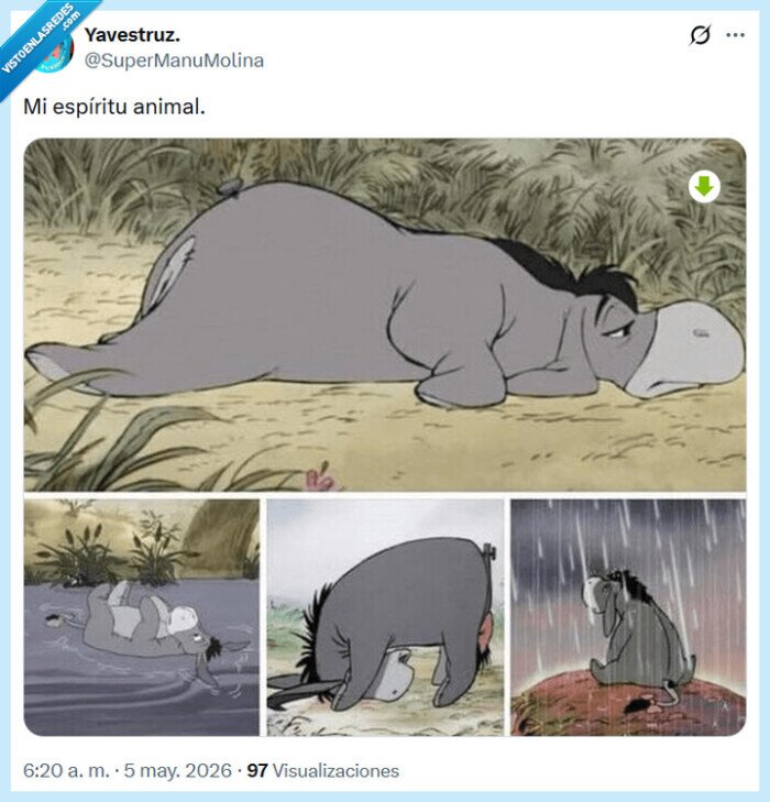 animal,esp&iacute;ritu,burro,winnie the pooh,&iacute;gor