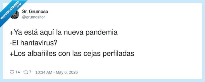pandemia,alba&ntilde;iles,cejas,perfiladas,hantavirus