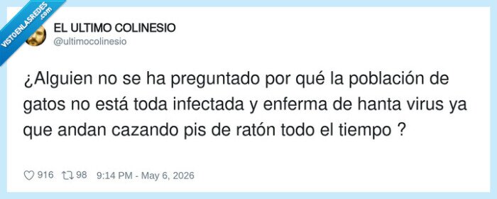 gatos,hanta,virus,rat&oacute;n,cacer&iacute;a