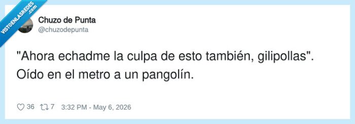 pangol&iacute;n,metro,culpa,conversaci&oacute;n,sarcasmo,hantavirus