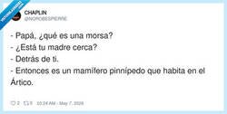 Enlace a El modo marido activado al 100% según la proximidad de la esposa, por @NOROBESPIERRE