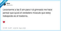 Enlace a El músculo más trabajado del gimnasio: la locura, por @aynaniita