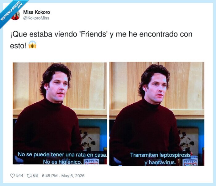 amigos,rata,leptospirosis,hantavirus,chuck
