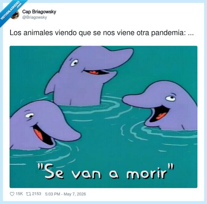 pandemia,delfines,miedo,analog&iacute;a,futuro,hantavirus