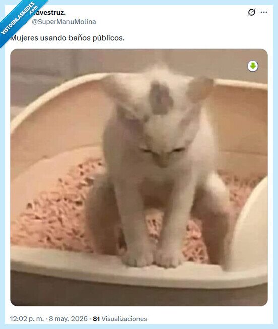 ba&ntilde;os,mujeres,p&uacute;blicos