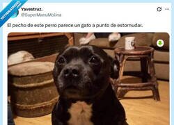 Enlace a El enemigo interior por @supermanumolina