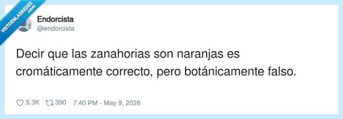 zanahoria,naranja,bot&aacute;nica