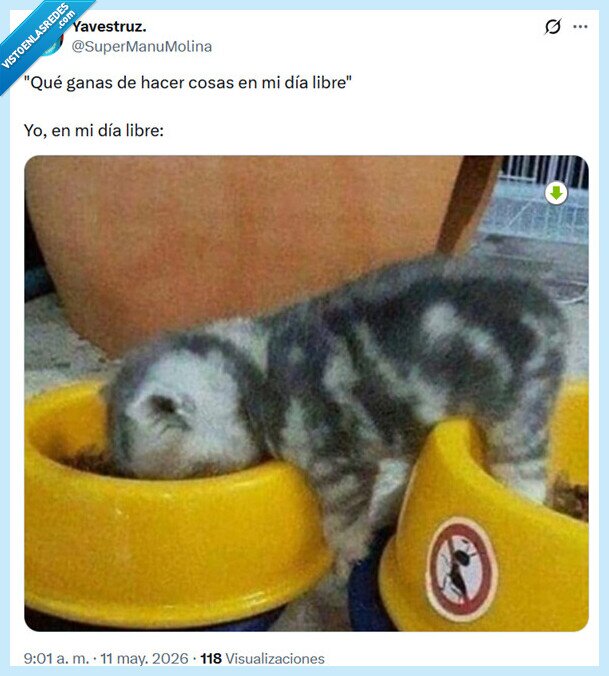 1728239 - Ocupadísimo por @supermanumolina