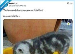 Enlace a Ocupadísimo por @supermanumolina