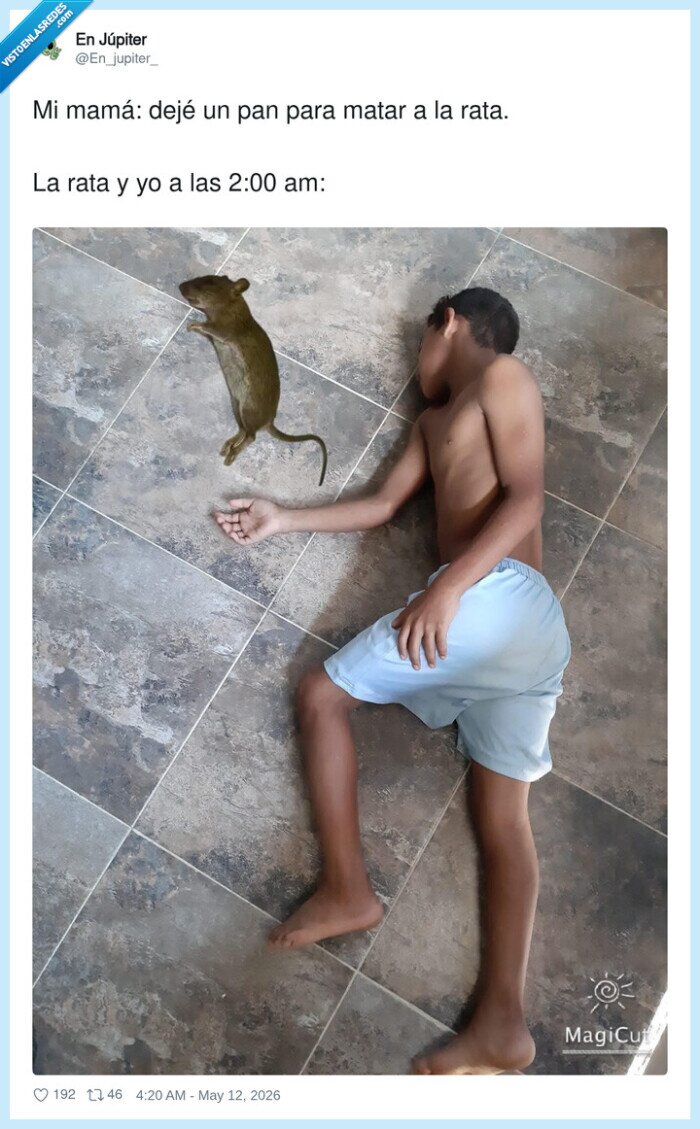 rata,pan,madrugada,suelo,siesta