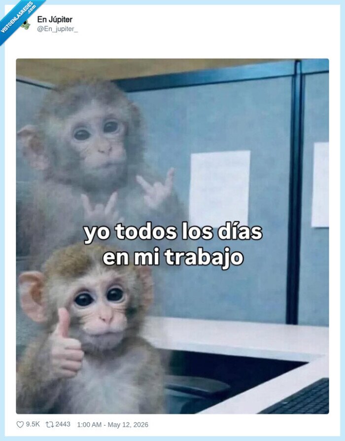 trabajo,oficina,fingir,hartazgo,monos