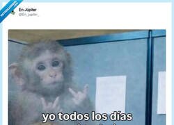 Enlace a Sonríe, asiente y por dentro: que le den a todo, por @En_jupiter_
