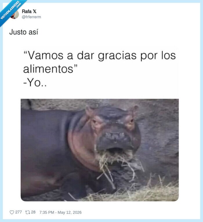 comida,gratitud,cena,hambre,rezo