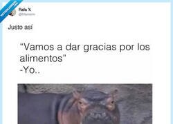 Enlace a Siempre doy las gracias, pero con la boca llena, por @frferrerm