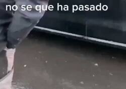 Enlace a Le pide cómo se ha estrellado con el coche y se lo muestra tal cual. Menuda reina