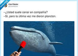 Enlace a Última cita antes de que me comas, supongo, por @ClintPiticlint