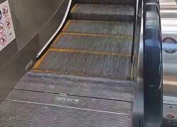 Enlace a Un perro descubrió cómo funcionan las escaleras mecánicas y ahora anda paseando en ellas como si estuviera en el centro comercial de vacaciones